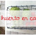 Un huerto en casa